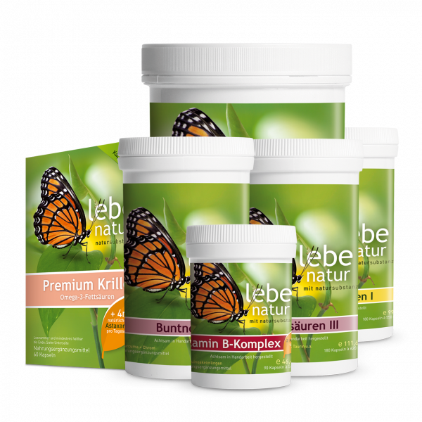 lebe natur® Buntnesselkur groß