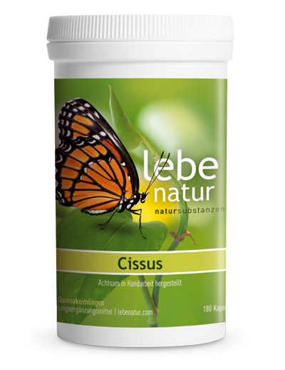 lebe natur® Cissus 180er