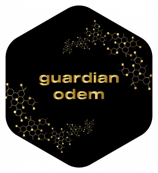 guardian odem