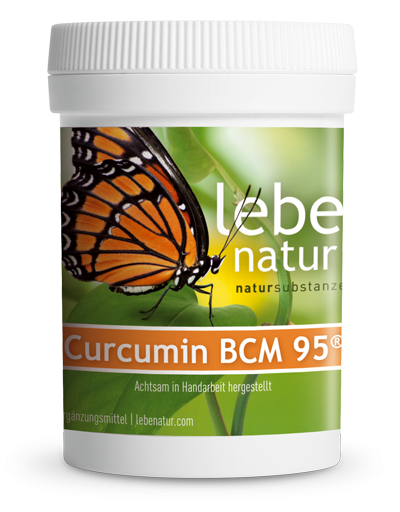 lebe natur® Curcumin BCM95®