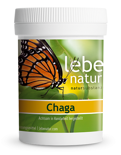 lebe natur® Chaga 90er