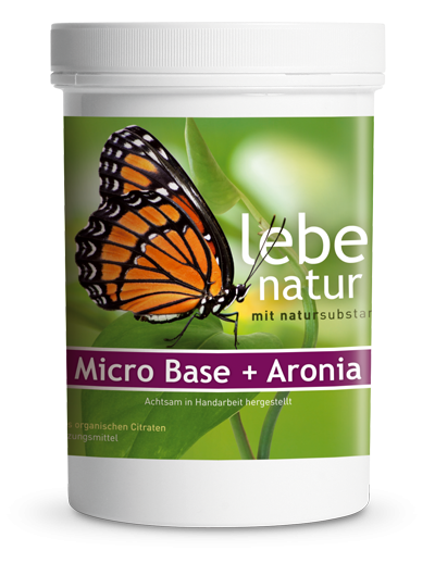 lebe natur® Micro-Base + Aronia Basenpulver 360 g