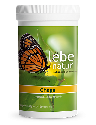 lebe natur® Chaga 180er