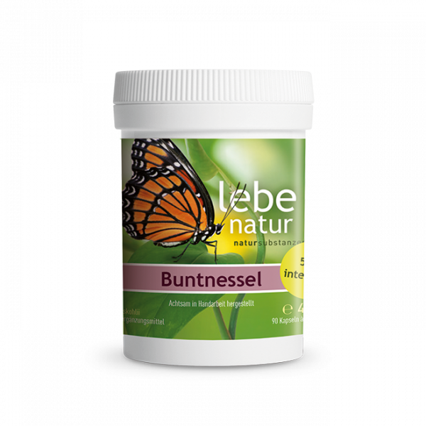 Buntnessel Dose