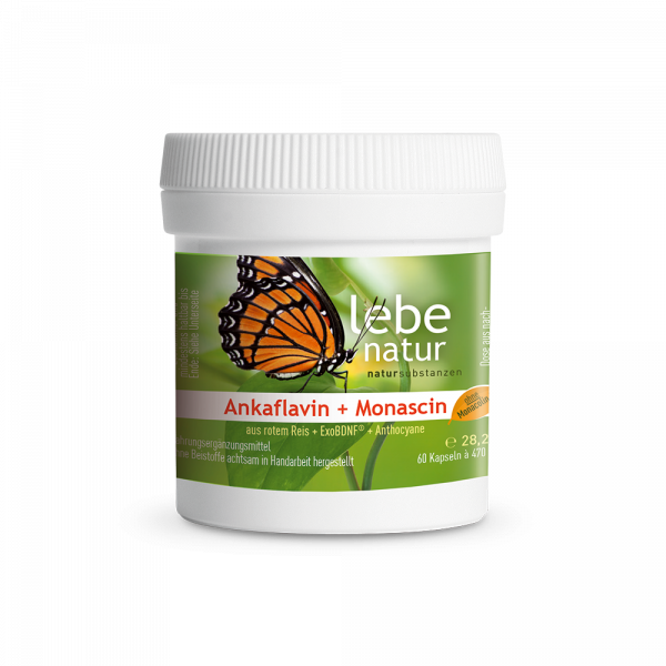 Ankaflavin und Monascin aus rotem Reis ExoBDNF®