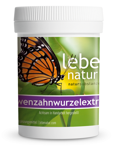 lebe natur® Löwenzahnwurzelextrakt 90er